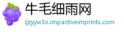 牛毛细雨网